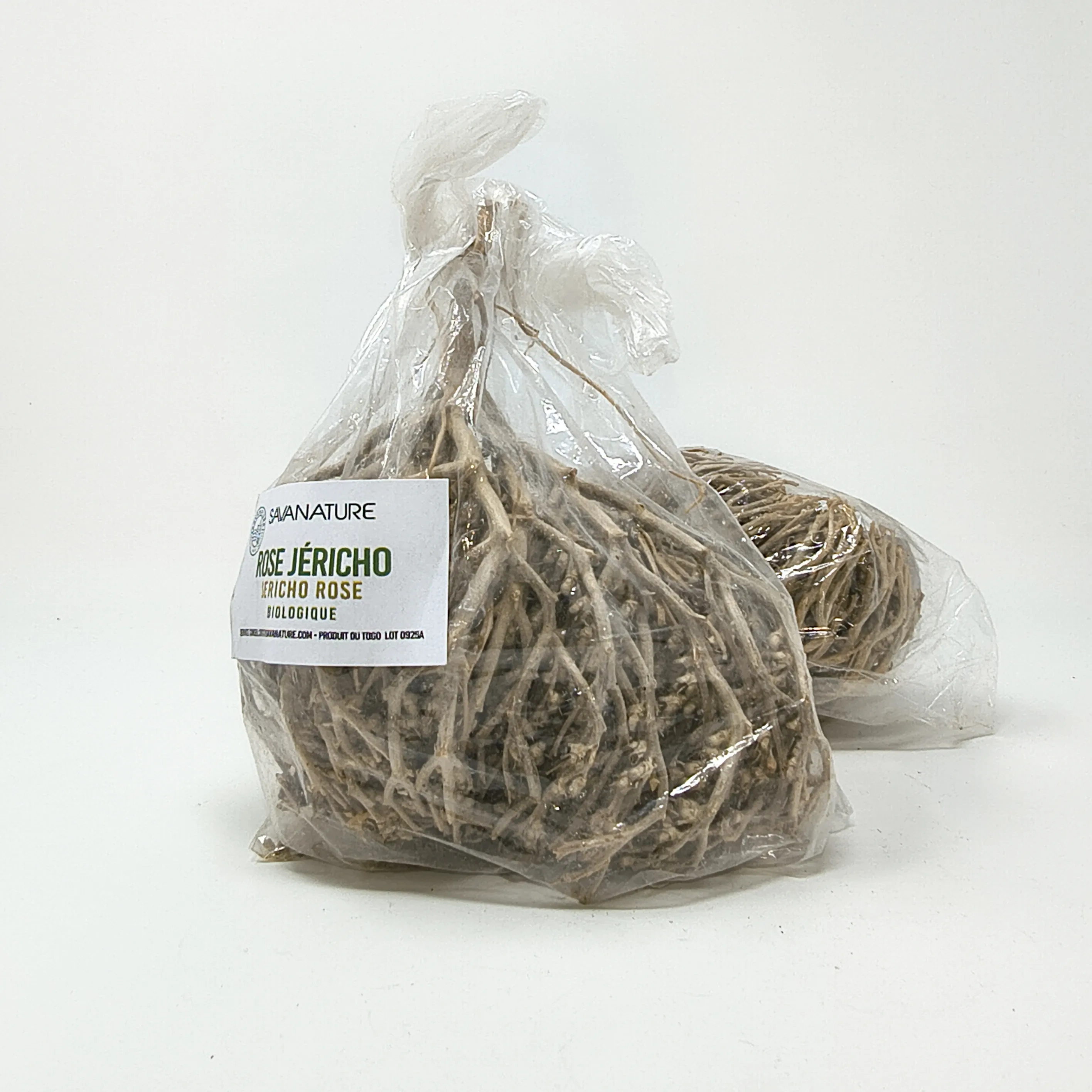 rose de jericho sf 2